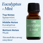 Scented Premium Fragrance Oil