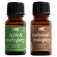 Scented Premium Fragrance Oil Multi Pack - Long-lasting Fragrance for Home